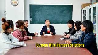 Shenzhen Jianhong Wire Harness Solutions